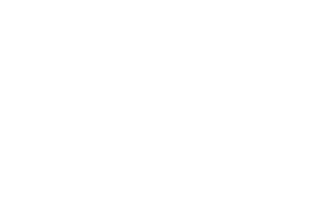 CALIFORNIA SWELL カリフォルニア スウェル