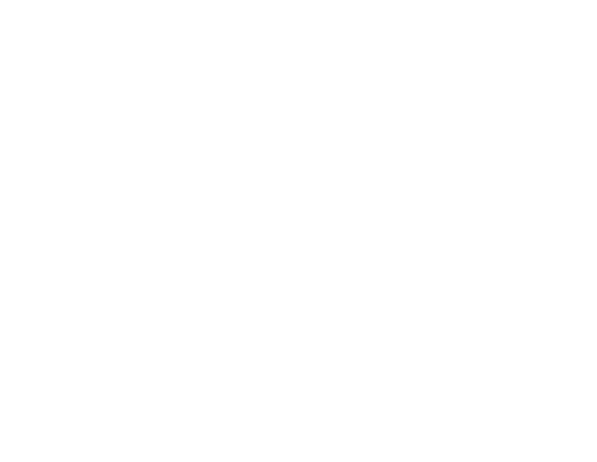 French Bronche フレンチ ブロンシュ