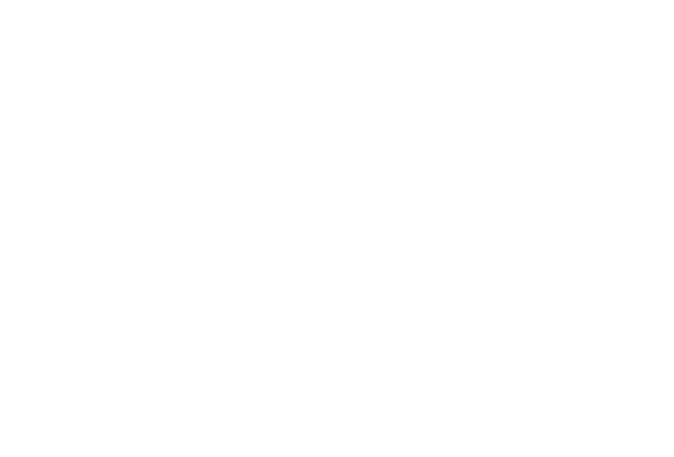 JAPANESE MODERN