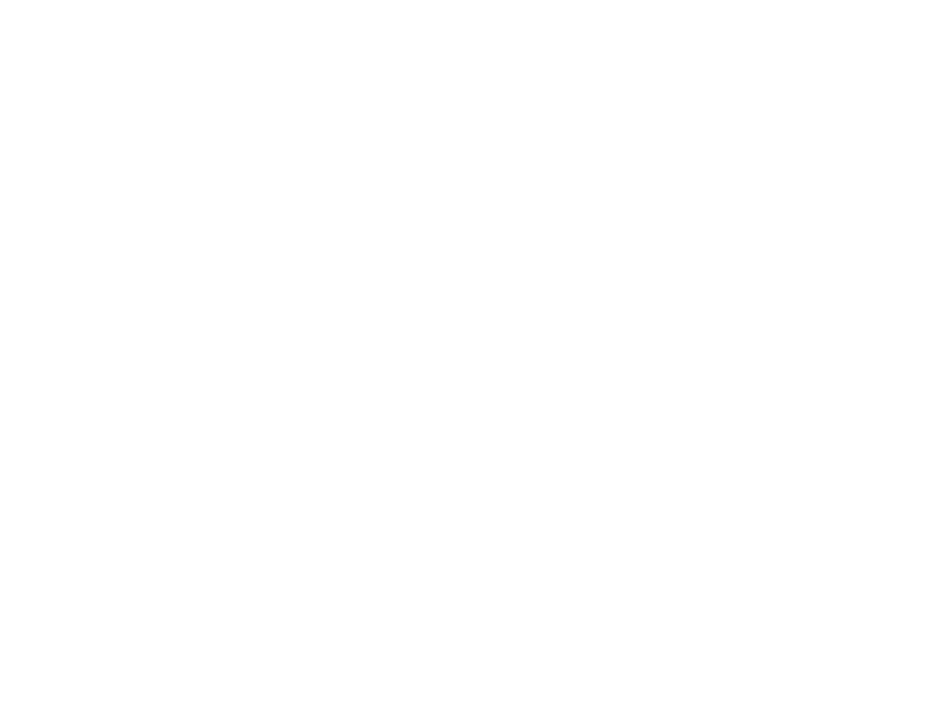French Bronche フレンチ ブロンシュ